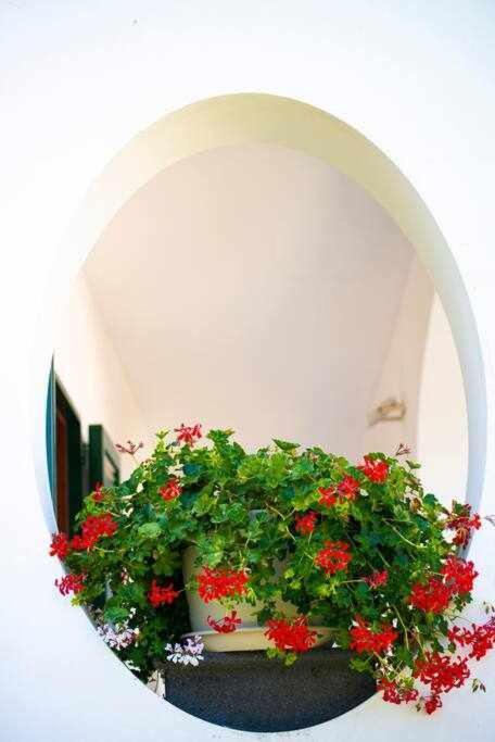 Villa Il Sogno Di Zia Ada ماسّا لوبْرينسِ المظهر الخارجي الصورة