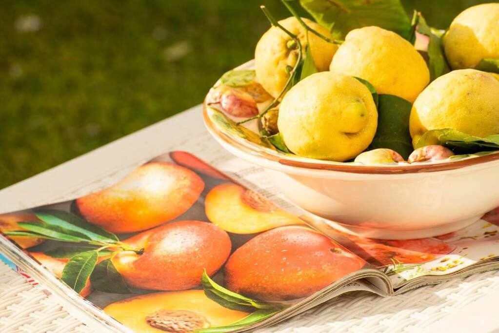 Villa Il Sogno Di Zia Ada ماسّا لوبْرينسِ المظهر الخارجي الصورة