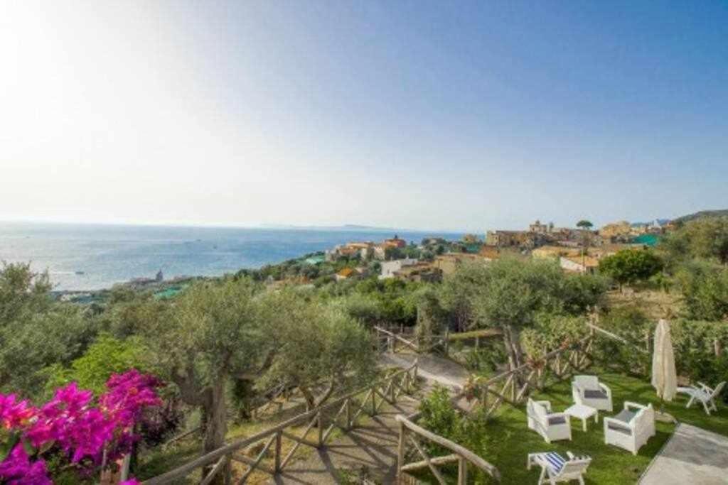 Villa Il Sogno Di Zia Ada ماسّا لوبْرينسِ المظهر الخارجي الصورة